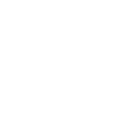 icono escudo otros seguros